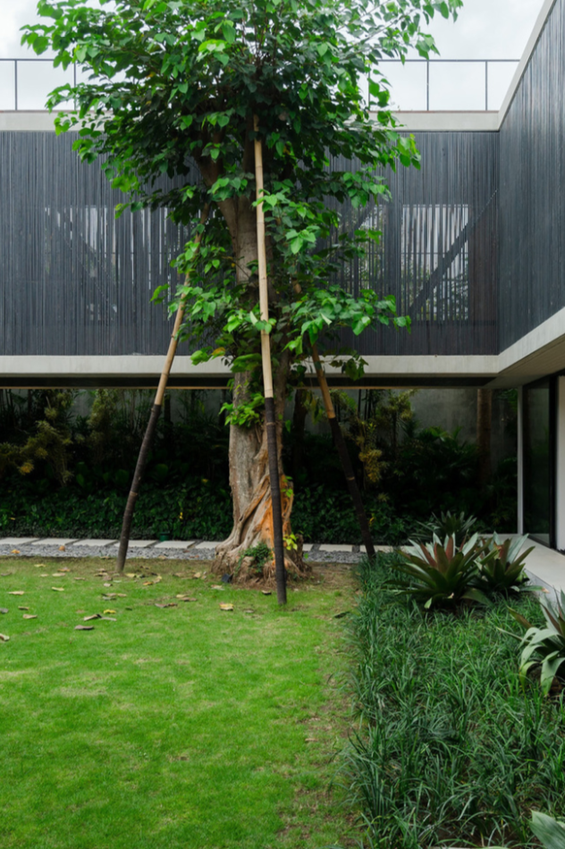 House SJ — garden path